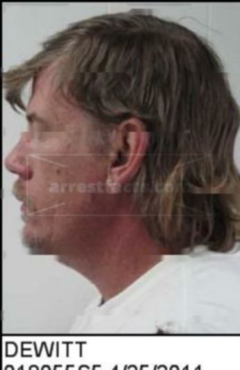 Michael Patrick Dewitt Ii