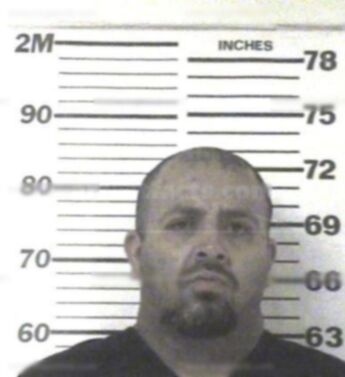 Pedro James Flores