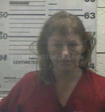 Virginia Elaine Adams