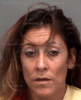 Patricia V Faloon