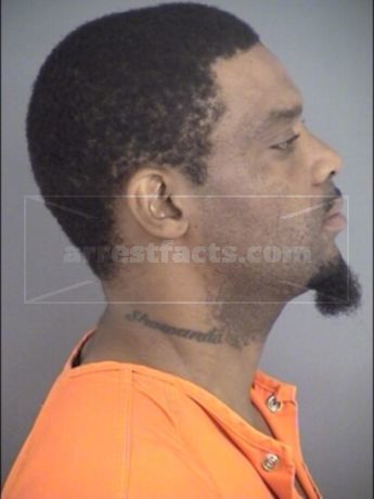 Ernest Damone Teal