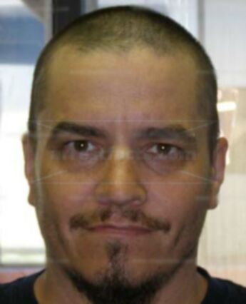 Matthew P Peltier