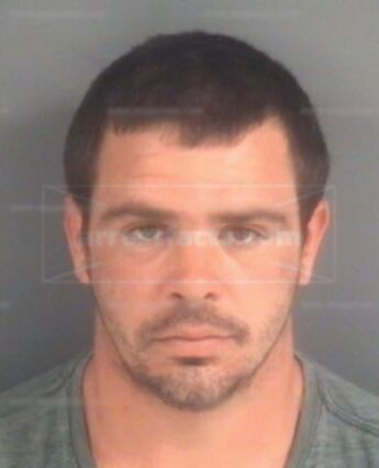 Anthony Paul Hollander