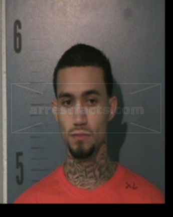 Jesse Rayburn Arms