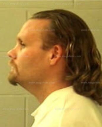Taylor Bradford Wilshire
