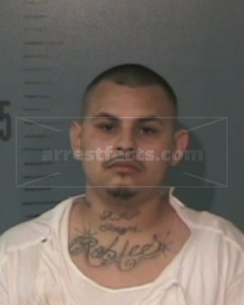 Raul Michael Robles