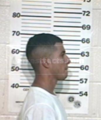 Vicente Ramos Solis