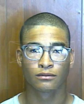 Dominic D Harmon