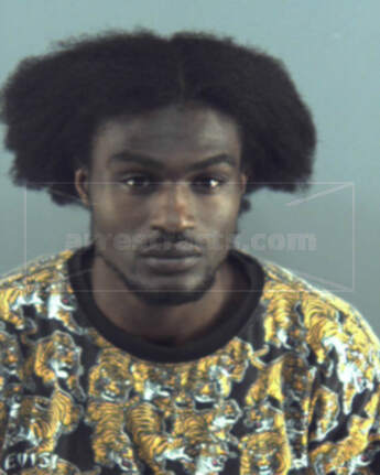 Travis L Haynes