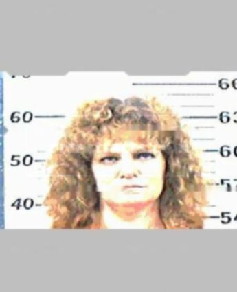 Karen L Willis