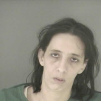 Lisa Marie Cutter