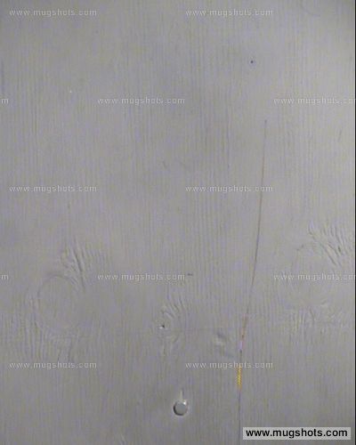 Milton Segay