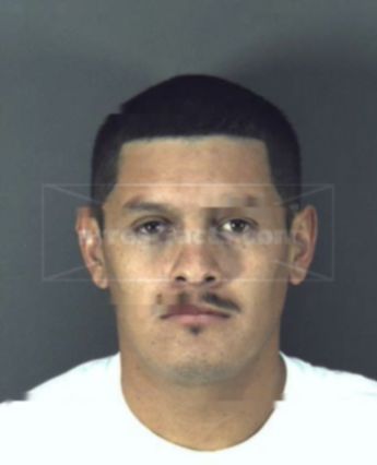 Reynaldo Mejia-Ibarra