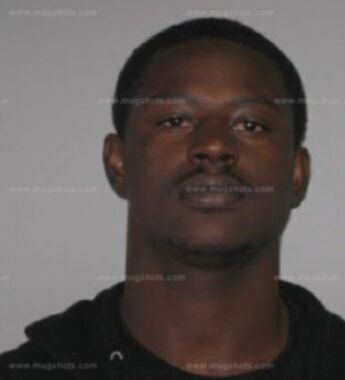 Tamarius P Gray