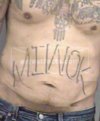 Matthew M Williamson