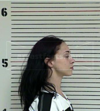 Diann Willard Vanloon