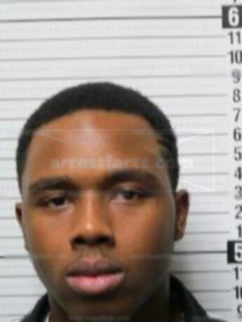 Adrian J Mitchell
