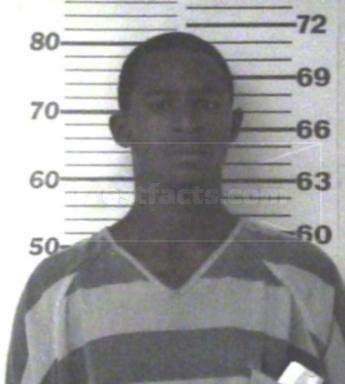 Jamie Lamond Nelson