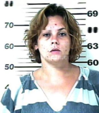 Crystal Lynn Blevins