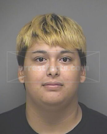 Consuelo Nicole Zapata