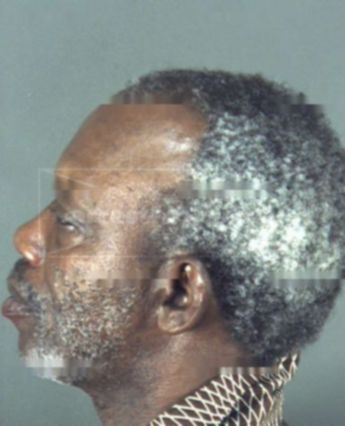 James Lewis Fountain Jr