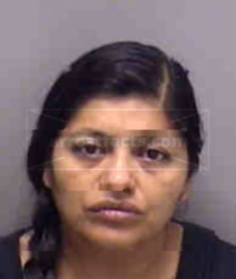 Carmen Rosa Arana