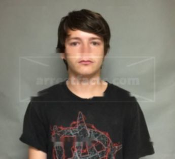 Ronnie Lynn Williams Jr.