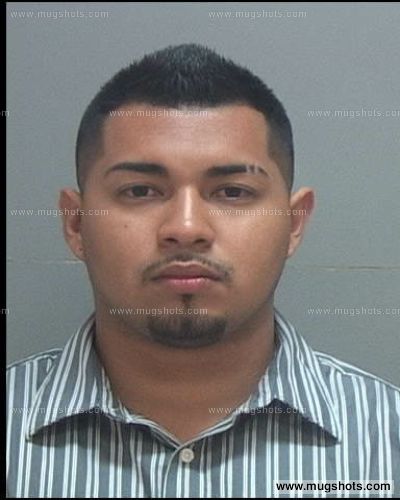 Roy Hernandez