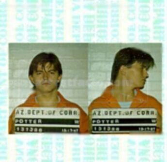 William D Potter