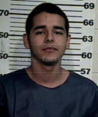 Mauricio Jr. Salinas Landeros