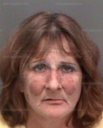 Robin Brandy Mackinnon