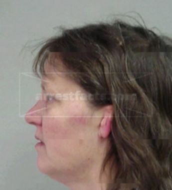 Terri L Messer