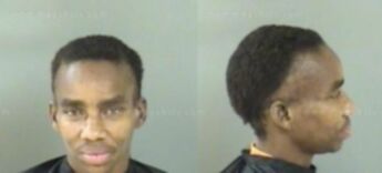 Scherell Sheree Irving