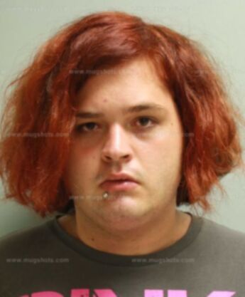 Tyler Michael Haman