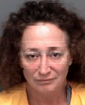 Robin Ann Verdile Lambert