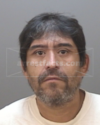 Michael Rivas Flores