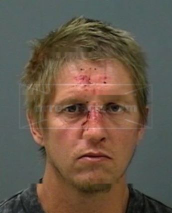 David Michael Starnes