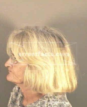 Evelyn Ann Padgett
