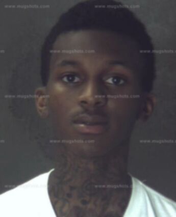 Justin Maxwell Elkins