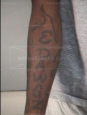 Sedrick L Hamilton
