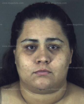 Lydia V Villamil