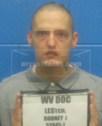 Rodney J Lester