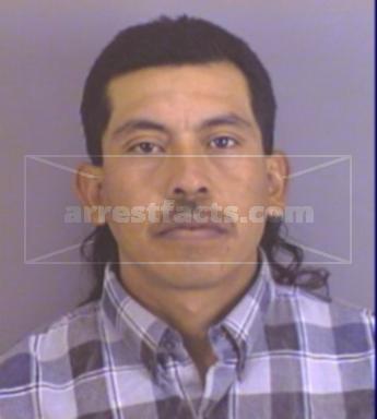 Gambino Rosales Morales