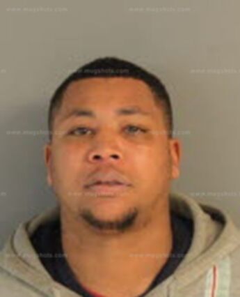Brandon L Hamer