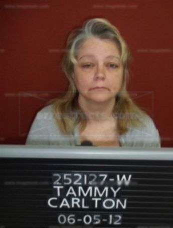 Tammy Louise Carlton