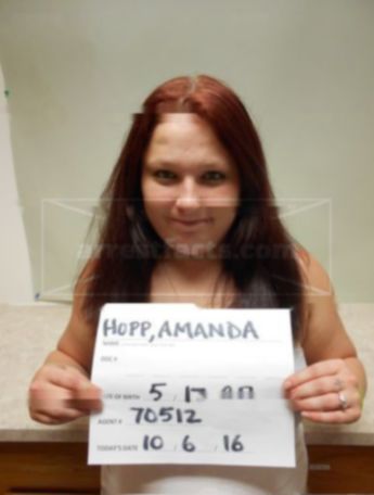Amanda M Hopp