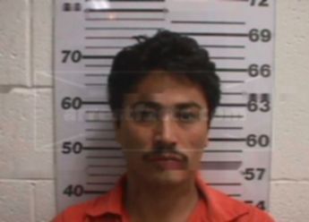 Gray Flores