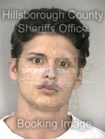 Michael Allan Phillips