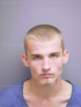 Dustin L Riddle