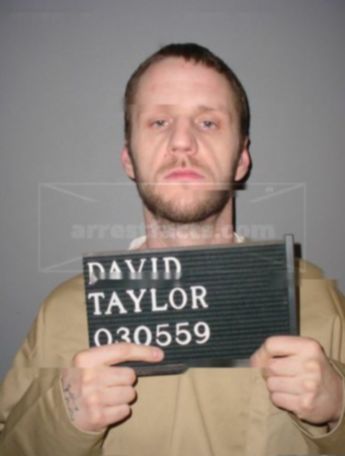 David M Taylor